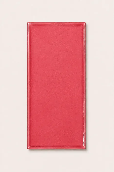 Liso Rosa 10×20
